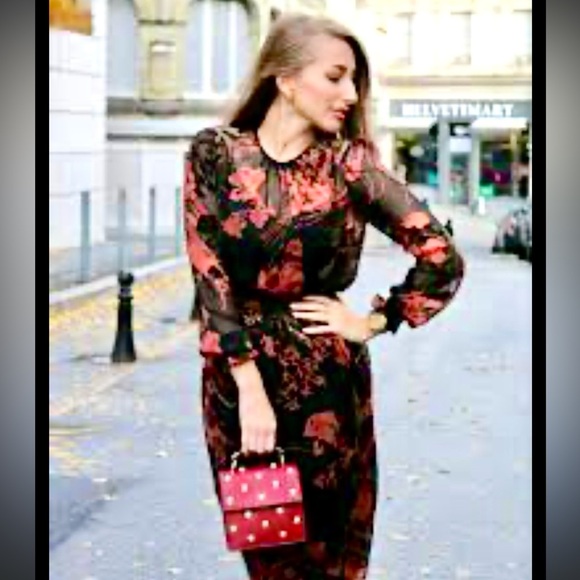 Zara Devore Chiffon Velvet Dress - Picture 4 of 6